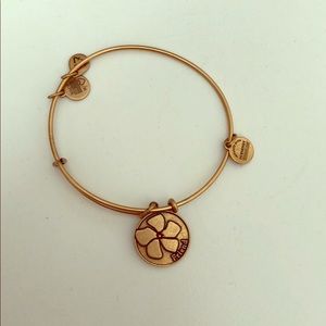 Alex and Ani gold “Friend Bracelet”
